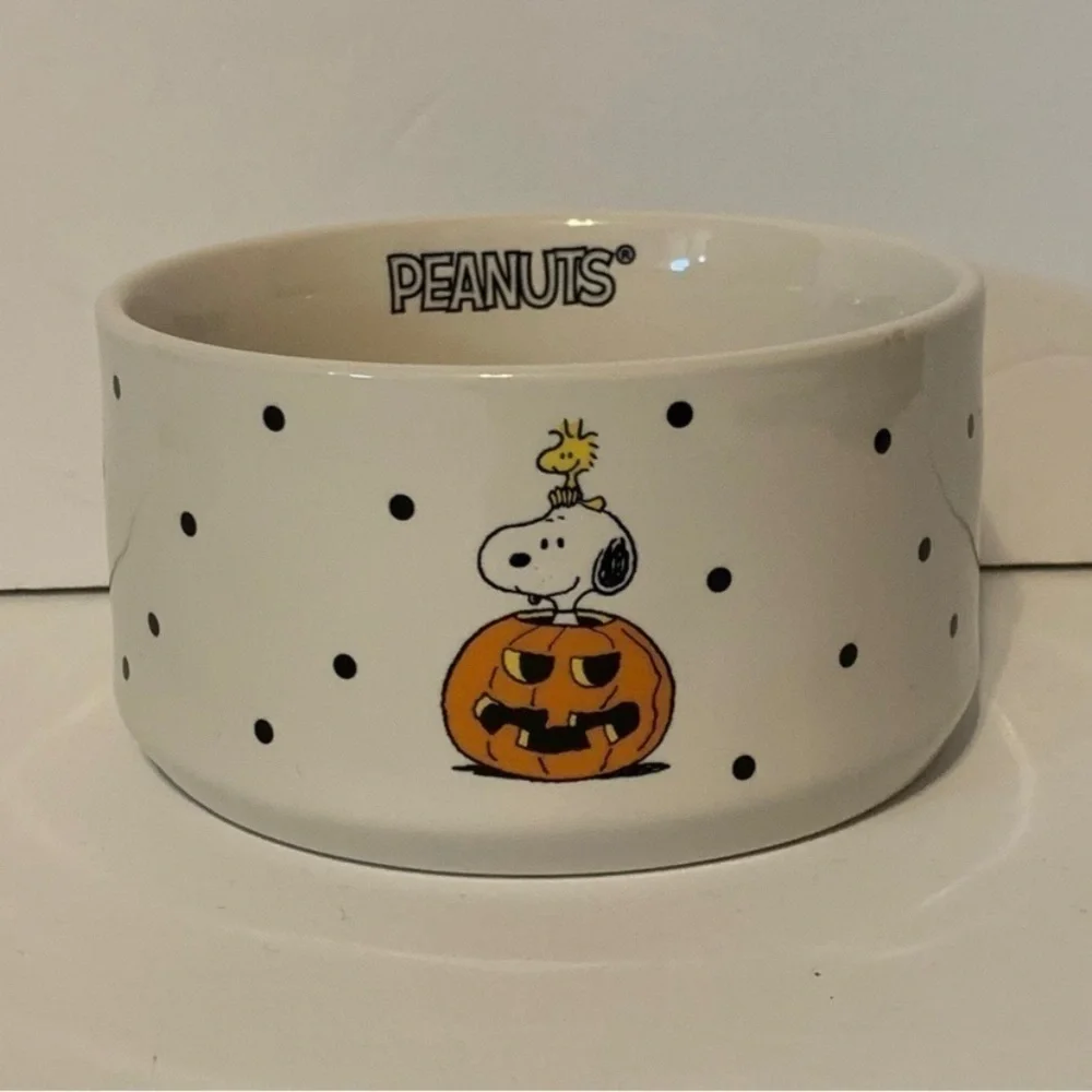 NWT. RAE DUNN X PEANUTS Snoopy Candy Bowl/Pet Dish